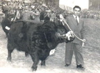 Villareal-palermo-1958